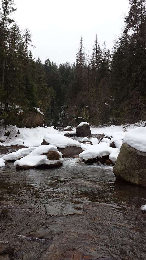 Kaslo river trail